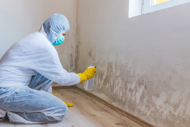 Hvac And Air Duct Mold Remediation inspection of HVAC system in Lake Hiawatha